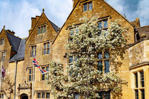 Lygon Arms Pear Tree blossom